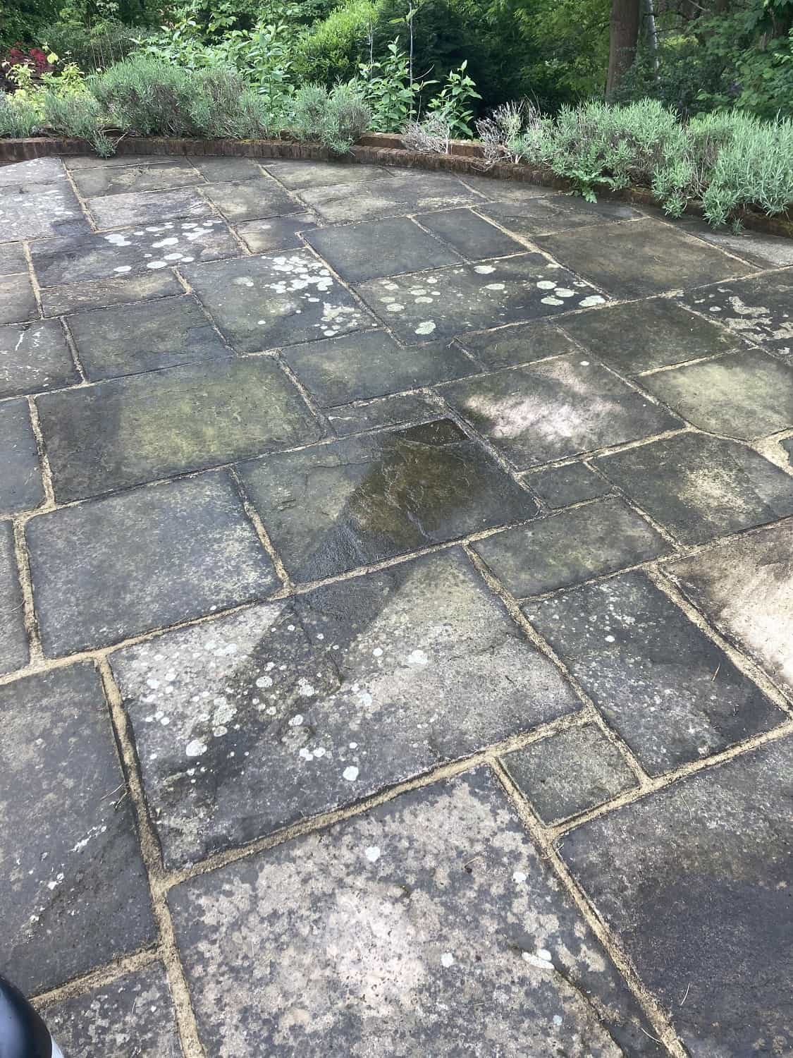 Yorkstone Patio Before Cleaning Shepperton
